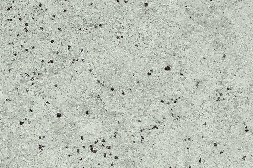 Colonial White